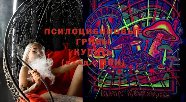 соль ск Абаза
