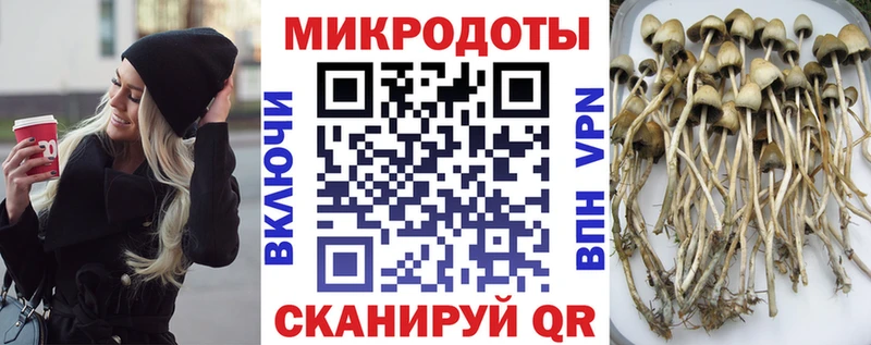 Галлюциногенные грибы прущие грибы купить наркотики цена Дивногорск